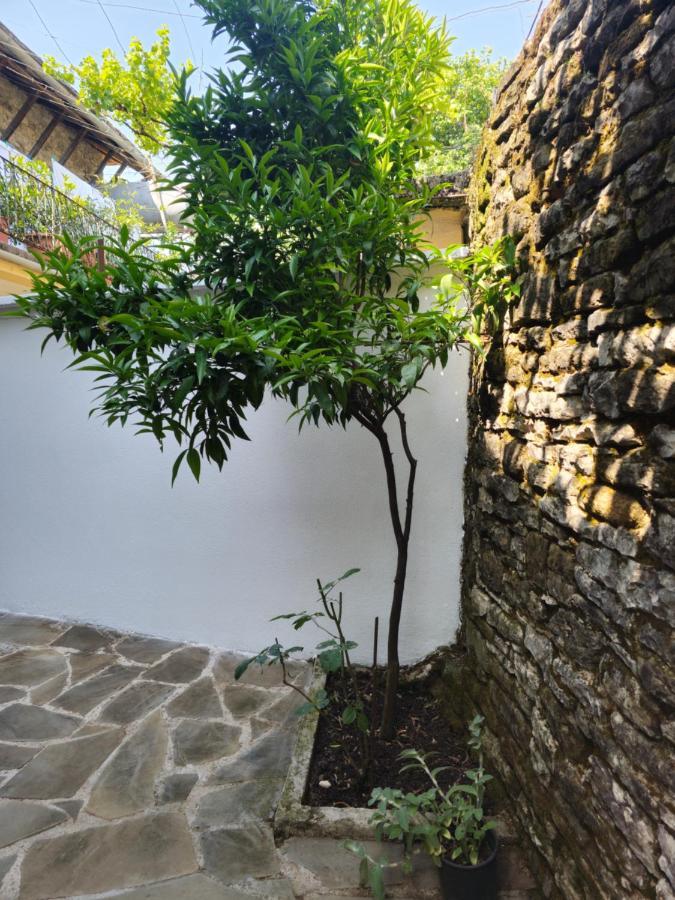 Traditional House Shapllo Gjirokastër Exteriör bild